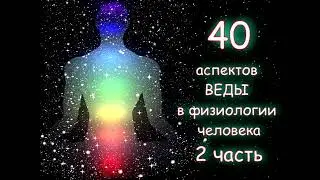 40 аспектов Веды в физиологии человека