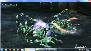 Warpgate imperial Ladyloca