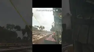 Ark Toons  #shorts #ark #gaming