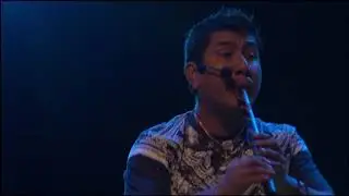 Flor de loto - Lineas De Nazca