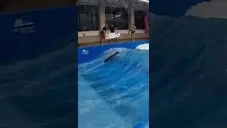 И смешно и больно😂