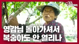 그냥 눈물이 나와버렸어｜230613 남도지오그래피