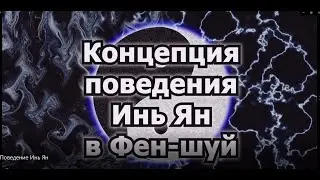 Фен-шуй. Концепция поведения Хозяин - Гость. Иньское и Янское поведение. Стратегия в Ци Мень.