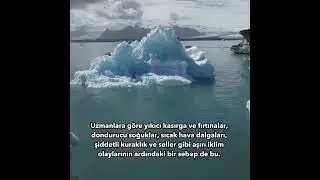 DOĞANIN ÇAĞRISINA YANIT VERME ZAMANI!!!