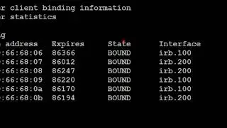 Juniper VSRX training dhcp, static route, nat