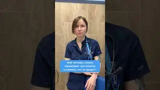 Мой питомец сильно переживает при визитах в клинику, не вредно быть донором?