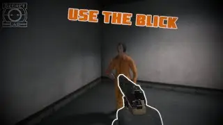 Terrorising D-Boys - SCP: Secret Laboratory