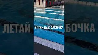 Плавание в бассейне. Баттерфляй. Butterfly swimming