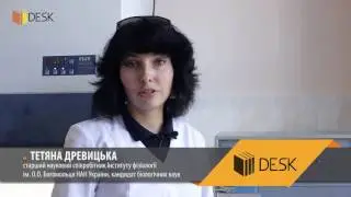 DESK: Дослідження різних видів клітинної смерті некрозу, апоптозу та аутофагії   - Тетяна Древицька