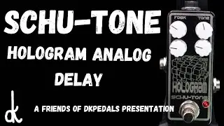 Schu-Tone Hologram Analog Delay: Friends of dkpedals