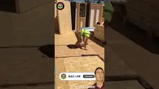 Incredible Moments 