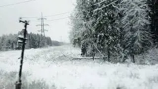 Лес, природа, зима в подмосковье. Зимняя сказка.