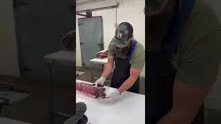 Cutting 42 Day Dry-aged Strip Steaks 🔪 