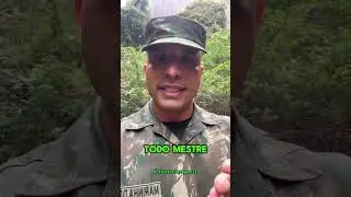 Até a maior árvore da floresta começou do chão. 🔥🚀