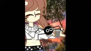 Untitled video