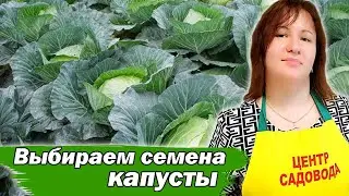 ЛУЧШИЕ СОРТА КАПУСТЫ 2024! ВЫ УДИВИТЕСЬ ЭТИМ ГИГАНТАМ! #огород #капуста #семена