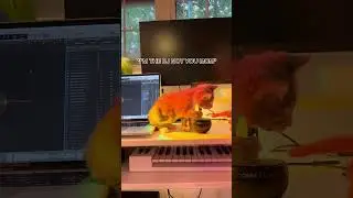 The Coolest Up-and-Coming Producer 😼