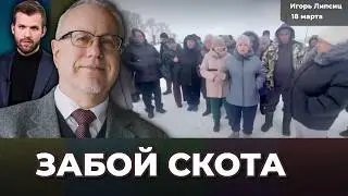 The ruble is falling. Slaughtering cattle – why? The impact of the internet shutdown. Inflation i...