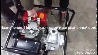 Мотопомпа дизельная WEIMA WMCGZ100-30