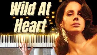 Wild At Heart by Lana Del Rey - Piano Cover