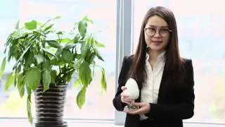 Antioxidant KY 405