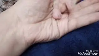развитие птенцов корелла