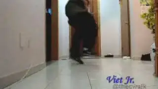 thecwalk.com vs cwalkin.de - Viet Jr vs. Yassin