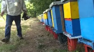 Blete ne kullos N ' Geshtenje nmolliq