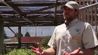 Colorado State Forest Service: Gunnison Field Office Nursery