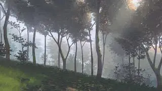 Landscape: Forest