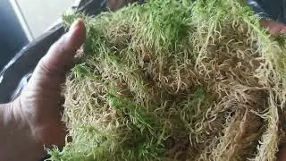 Посылка подарок! Посылка сюрприз! 🥳💃🎁
