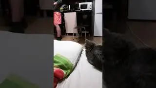 Press F... сегодня интересные разговоры с телевизором 