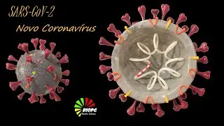NOVO CORONAVÍRUS/SARS-COV-2/MAQUETE 3D