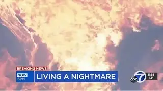 Breaking News, Fires and Bears Oh My!