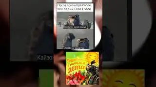 Мемы Ван Пис и Джоджо 