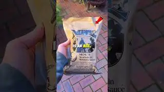 I Tried an MRE