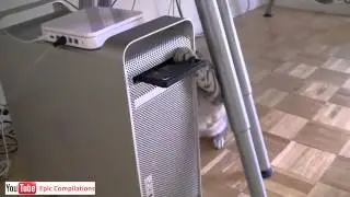Cats+Pap