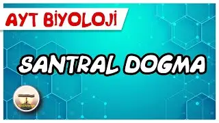AYT Biyoloji | Santral Dogma #sayfa 142