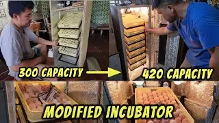 Modified Incubator (From 300 capacity to 420 capacity)