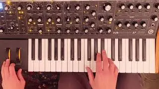 Matthias Bublath / Moog Solo
