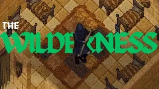 Conquering the Wilderness of Ultima Online Outlands...
