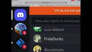 Discordo Easter Egg