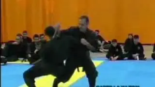 Seminaire nin-jutsu