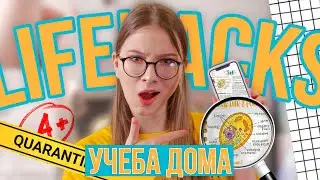 12 ШКОЛЬНЫХ ЛАЙФХАКОВ для УЧЕБЫ на КАРАНТИНЕ ДОМА! Как быть ПРОДУКТИВНЫМ?