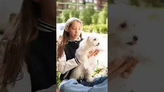 TV series About the dog. Season 2. Episode 1.