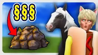 Horse manure makes you money 💩 | Rags to Riches Pt 3