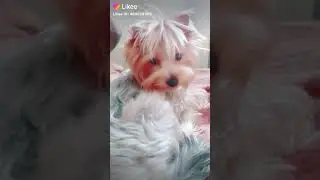 Наберём ?