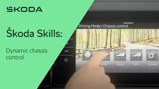 How-to: Dynamic Chassis Control