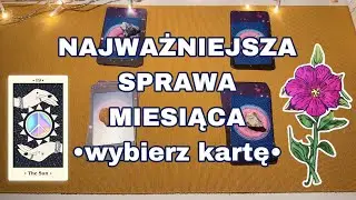 Czerwiec 2023 🪻 Na jakiej strefie życia się skupić? 🪻 wybierz kartę • tarot