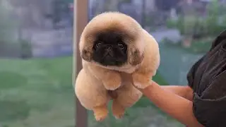 Who wants me?